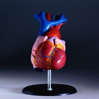 INESC TEC desenvolve sistema de vigilância cardiovascular 