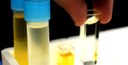 INESC TEC develops technology that monitors frying oils using optical systems and smartphones 