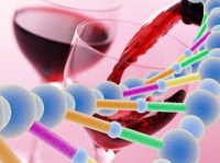 INESC TEC sensors identify DNA in wines